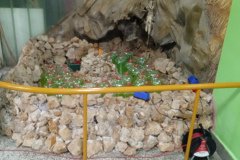 IMG_20261009_172025